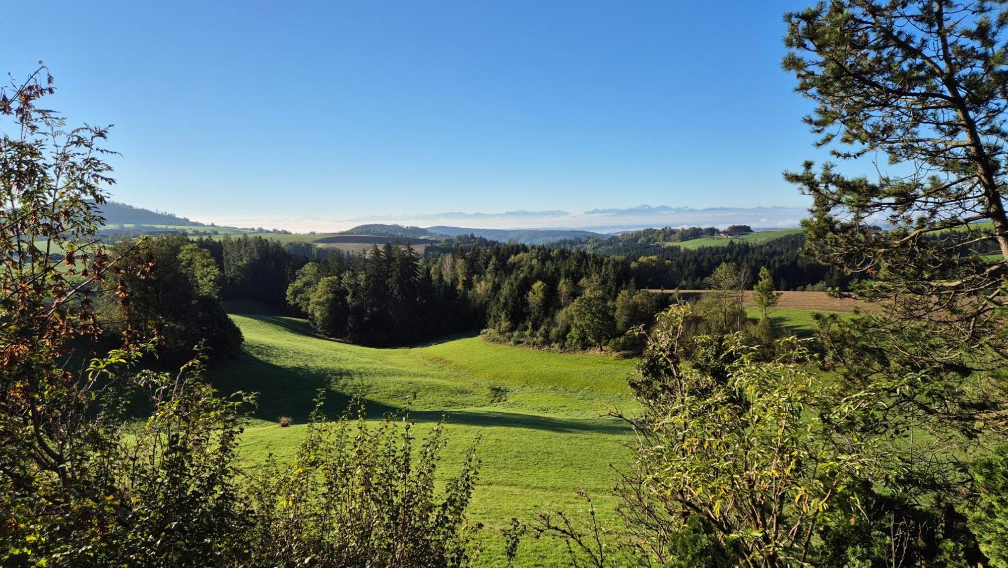 Cottage Alpenblick Gramastetten Экстерьер фото